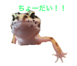308244688