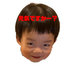 308260871