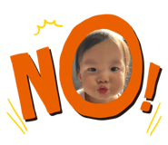 308261663