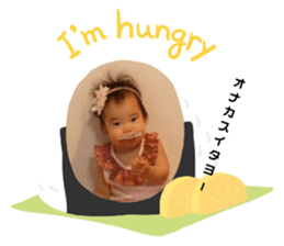 308284411