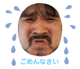 308376724