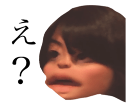 308404441