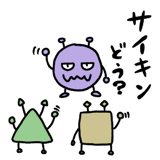 308405284