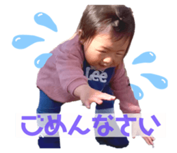 308655158