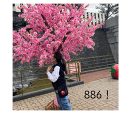 308679081