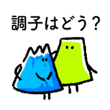 308751562