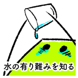 308751574