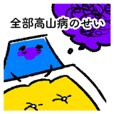 308751582
