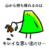 308751586