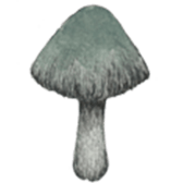 308771342