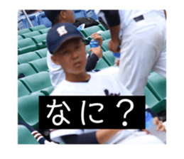 308775379