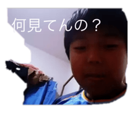 308815675