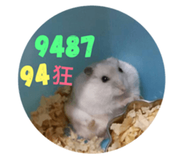 30886175