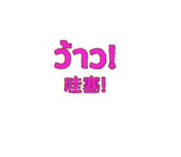 308906568