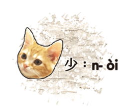 308918456