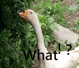 308942976