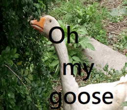 308942979