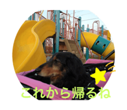 308998832