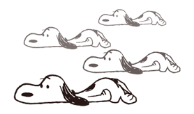 30903269