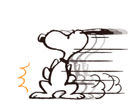 30903286