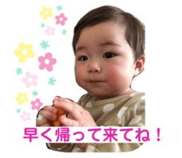 309062666