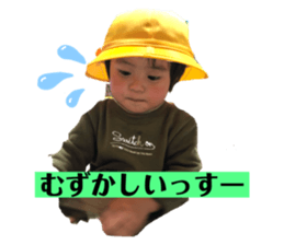 309066429