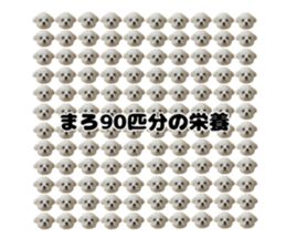 309098562