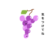309153600