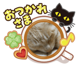 309243622