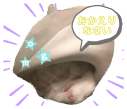 309320605