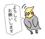 309334951