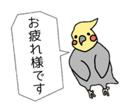 309334955