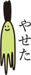 3093367