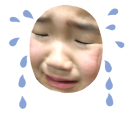 309383504