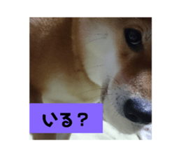 309390648