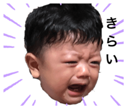 309404217