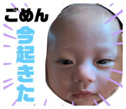 309462819
