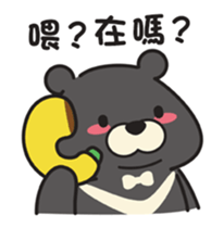 309681544