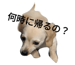 309705490