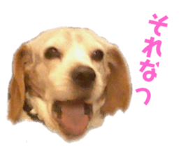 309768152