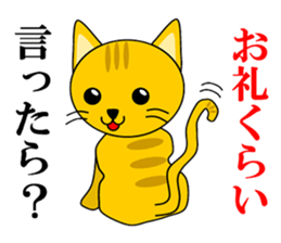 3098037