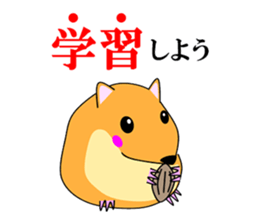 3098055