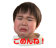 309817710