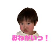 309817711