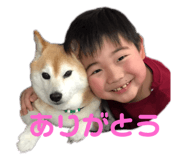 309817720