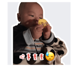30997774