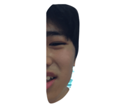 310030781