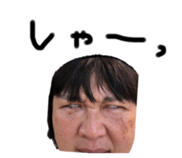 310036805
