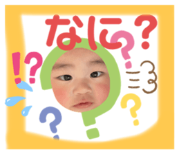 310061137