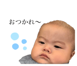 310080980